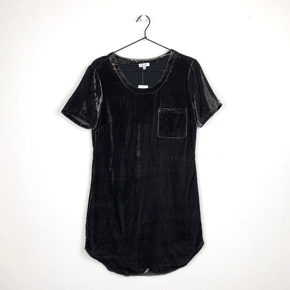 Splendid Velvet Dress‎